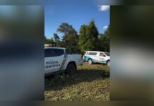 MS: homem sai para caçar e é encontrado morto no dia seguinte em propriedade rural
