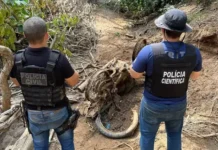 MS: Ossada e moto achadas em grota podem esclarecer desaparecimento de 2014