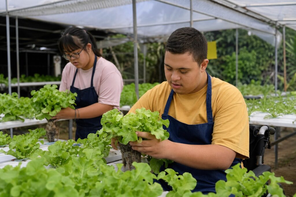 Agro Inclusivo MS: proposta garante autonomia para pessoas com deficiência