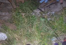 Homem com calças abaixadas é morto a pauladas em terreno baldio