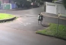 Homem persegue e mata ex-namorada com 30 facadas no meio da rua