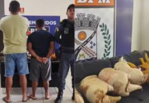 Homem é preso após ser flagrado transportando tatus abatidos em uma rodovia