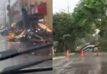 Árvores caem sobre carros e placas são arrancadas durante temporal na fronteira