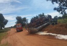 MS: caminhão carregado com leite tomba em estrada vicinal e motorista morre