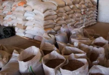 Governo Federal destina R$ 500 mil para segurança alimentar indígena em Dourados