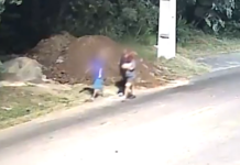 Adolescente é assassinada em crime envolvendo triângulo amoroso 