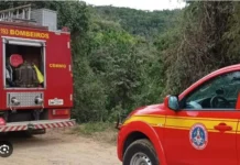 Briga entre irmãos termina com morte brutal e mãe ferida