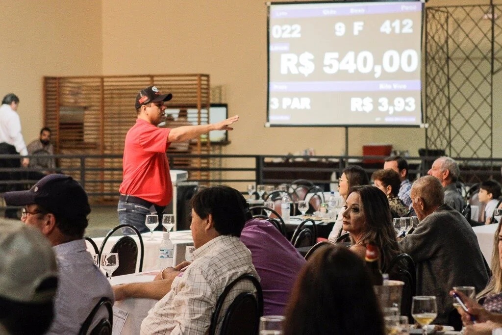 Dourados: Leilões de gado serão destaques na histórica 60ª Expoagro