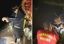 Mulher sobrevive a acidente que matou os 4 filhos no Dia das Mães