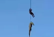 Policial é içado de helicóptero com crocodilo para recuperar restos mortais de empresário
