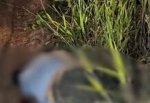 Jovem é sequestrado por quadrilha e morto a tiros 