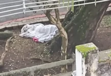 Dormindo na rua, mulher desaparecida é confundida com cadáver