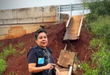 Isa Marcondes, a vereadora mais popular de MS, pode ser cassada na 6ª-feira