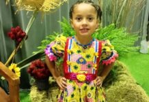 Criança tira vida da irmã de 6 anos acidentalmente