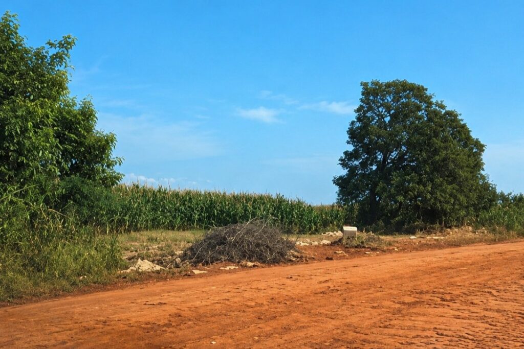 Zé Teixeira articula pavimentação em Dourados e mais saneamento em Laguna Carapã Zé Teixeira articula pavimentação em Dourados e mais saneamento em Laguna Carapã