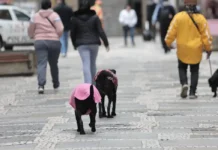 Semana começa com frente fria no País; temperatura despenca no centro-oeste