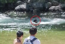 Jovem puxa celular para tirar foto de paisagem e registra último momento de homem arrastado por correnteza