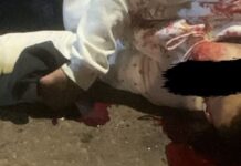 Cinco assassinatos em menos de 48 horas assustam moradores de Campo Grande
