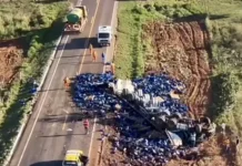 MS-377: motorista morre e 03 ficam feridos em capotamento de carreta com cerveja