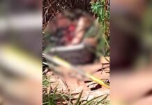 Mulher é encontrada decapitada em estrada na zona rural de Pedro Juan Caballero