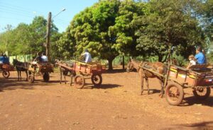 'Carroças são permitidas com restrições; nós respeitamos as tradições', diz diretor da Agetran