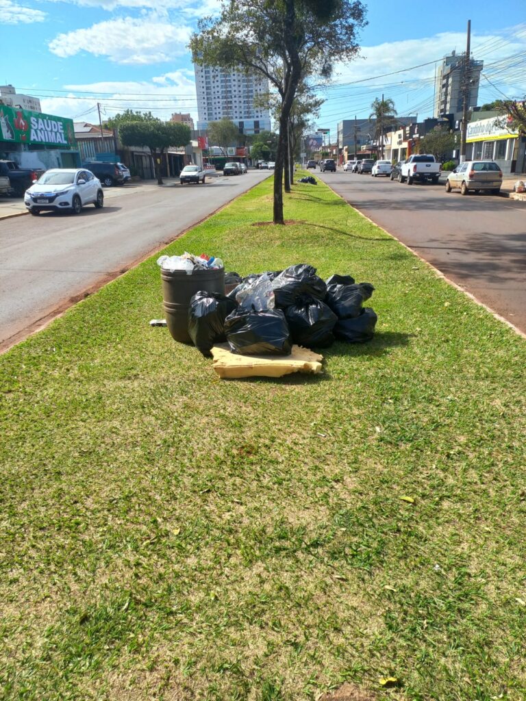 'Lixo urbano!', por José Tibiriçá Martins Ferreira 'Lixo urbano!', por José Tibiriçá Martins Ferreira
