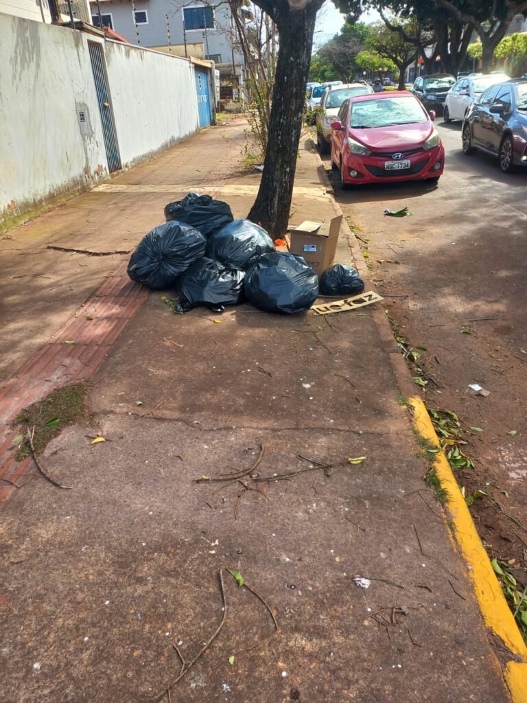 'Lixo urbano!', por José Tibiriçá Martins Ferreira 'Lixo urbano!', por José Tibiriçá Martins Ferreira