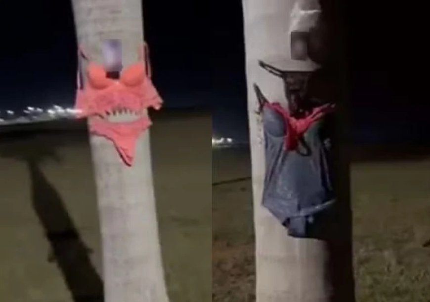 Fotos íntimas e peças de lingerie são encontradas espalhadas em rua; polícia investiga quem está por trás do caso Fotos íntimas e peças de lingerie são encontradas espalhadas em rua; polícia investiga quem está por trás do caso
