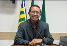 Vereador morre após ser atacado por enxame de abelhas