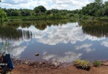 Homem morre hoje afogado em lagoa entre Dourados e o distrito de Itahum