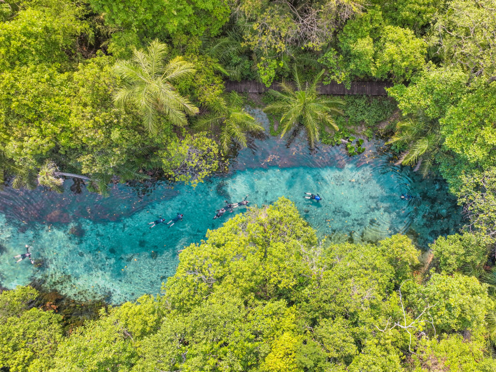 Folha de Dourados participa de press trip e mergulha no ecoturismo de Bonito