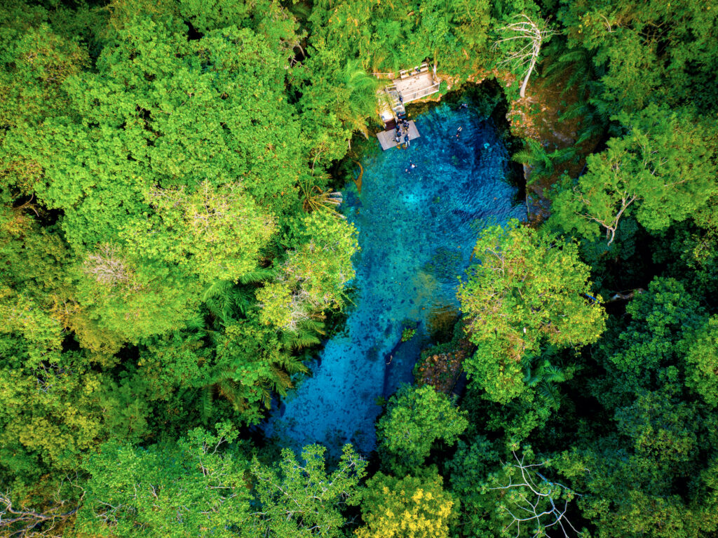 Bonito é tendência de viagem do Skyscanner para 2027, com a Nascente Azul em destaque