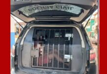 Homem é preso suspeito de violência sexual contra a sobrinha de 9 anos 