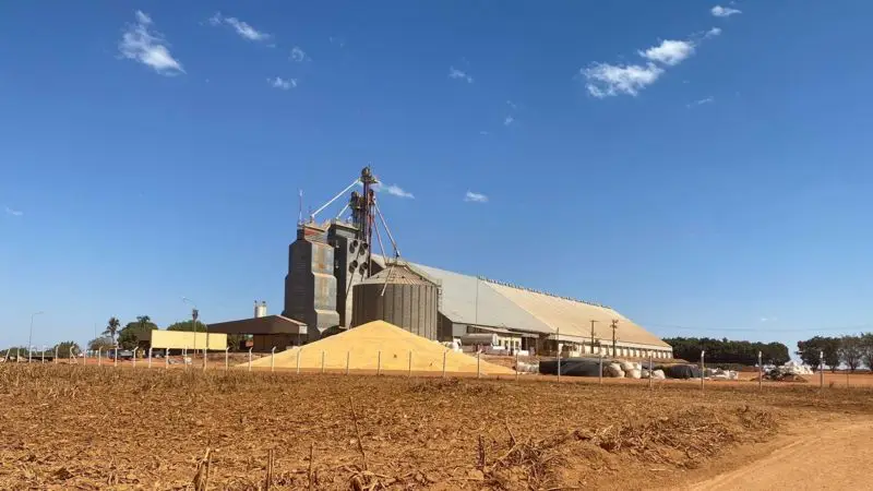 Por que há montanhas de milho ao relento no interior do Brasil