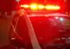 Corpo de homem encontrado em fazenda estava sendo devorado por cães