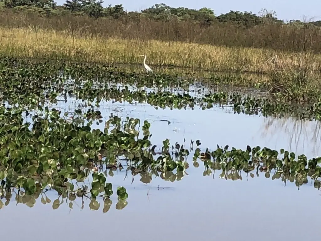 UEMS vai discutir, em Dourados, práticas de Reserva Particular do Patrimônio Natural