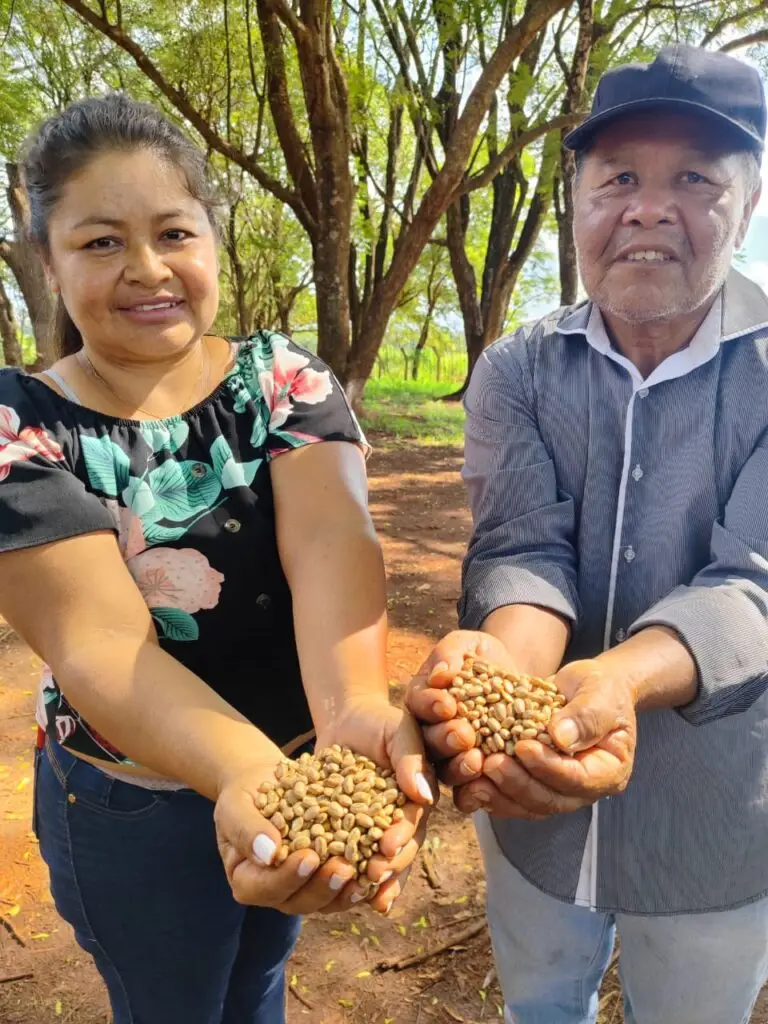 Dourados: Secretaria de Agricultura Familiar realiza as primeiras entregas de sementes de feijão