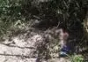 Com metade enterrado, corpo é encontrado em área de mata em MS