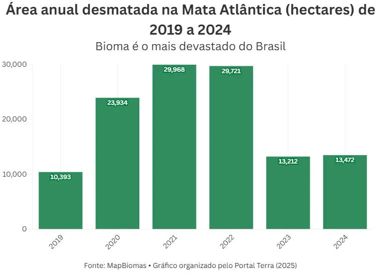Mata Atlântica: desmatamento cai só 2% em um ano e pode levar à surtos na saúde pública