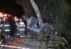Dourados: caminhonete bate em árvore, mata pai e filho e criança de 5 anos é levada para HV