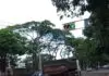 Ciclista morre após bater na lateral de veículo; vítima tinha 49 anos e era de Pernambuco
