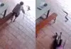 Idoso de 98 anos é atacado por cobra na varanda de casa e se salva com bengala