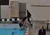 Professor do SESI é demitido após agredir aluno que desobedeceu regra em piscina (Vídeo)