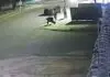 MS: empresário é morto em emboscada; câmera de segurança registra crime (Vídeo)