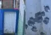 Homem é morto com cerca de 20 tiros depois de ser liberado em audiência de custódia