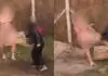 Jovem agredida por homem nu estava indo ao trabalho: 'Fiquei desesperada'