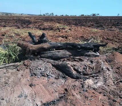 PMA autua queima irregular de 32 hectares durante Operação Focus em MS