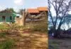 Dourados: ventos de até 80 km/h derrubam árvores e danificam residências