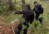 Quem era a idosa encontrada morta a facadas em matagal