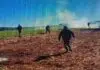 Vídeo: Polícia bloqueia acessos à retomada Guarani e Kaiowá de Porto Cambira e inicia ataque